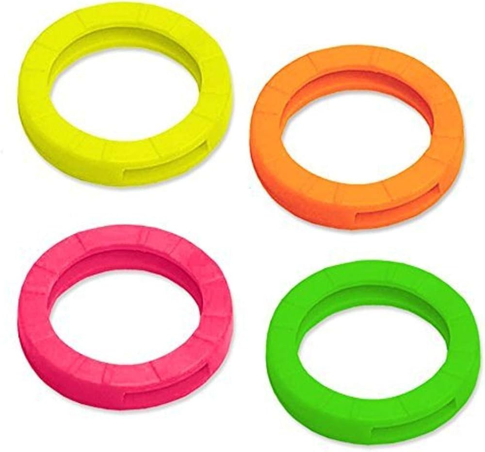 Key Identifiers Neon 4 Pack